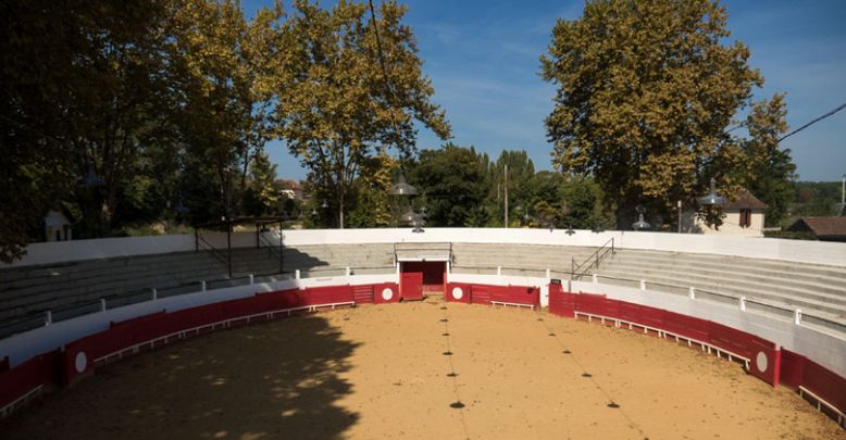 BULLFIGHTING, “COURSE LANDAISE” AND BULL CULTU ...