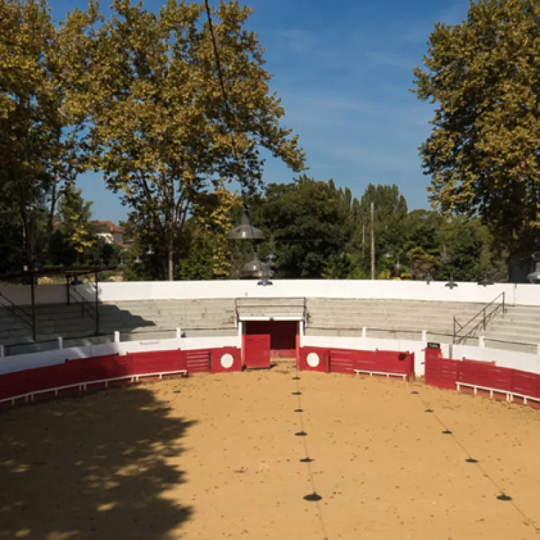 BULLFIGHTING, “COURSE LANDAISE” AND BULL CULTU ...