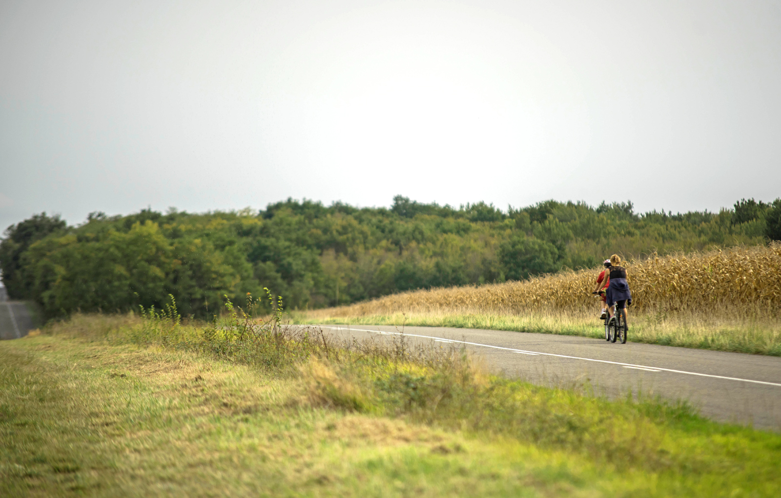 Les plus belles balades à vélo dans le Gers