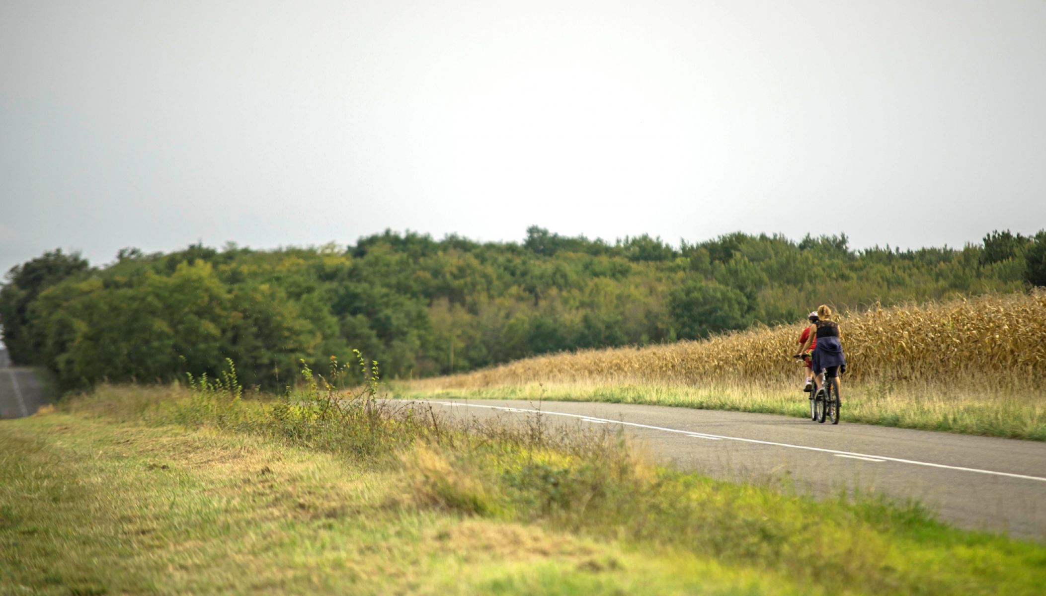 Les plus belles balades à vélo dans le Gers