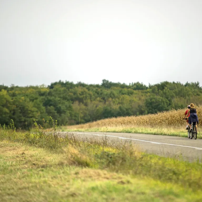 The most beautiful bike rides in the Gers