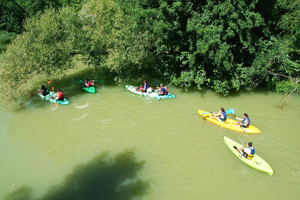 Les Canoës de Beaucaire