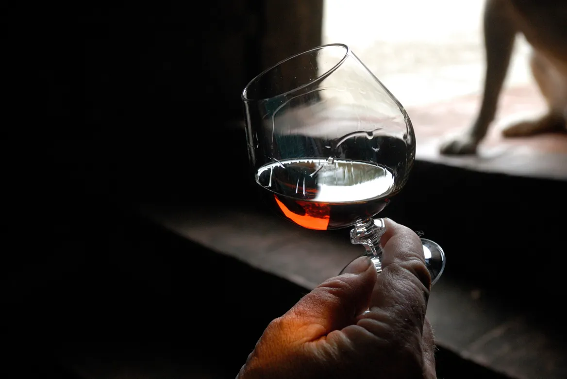 Déguster les Armagnacs du Gers - Crédit photo © lognetic / Adobestock