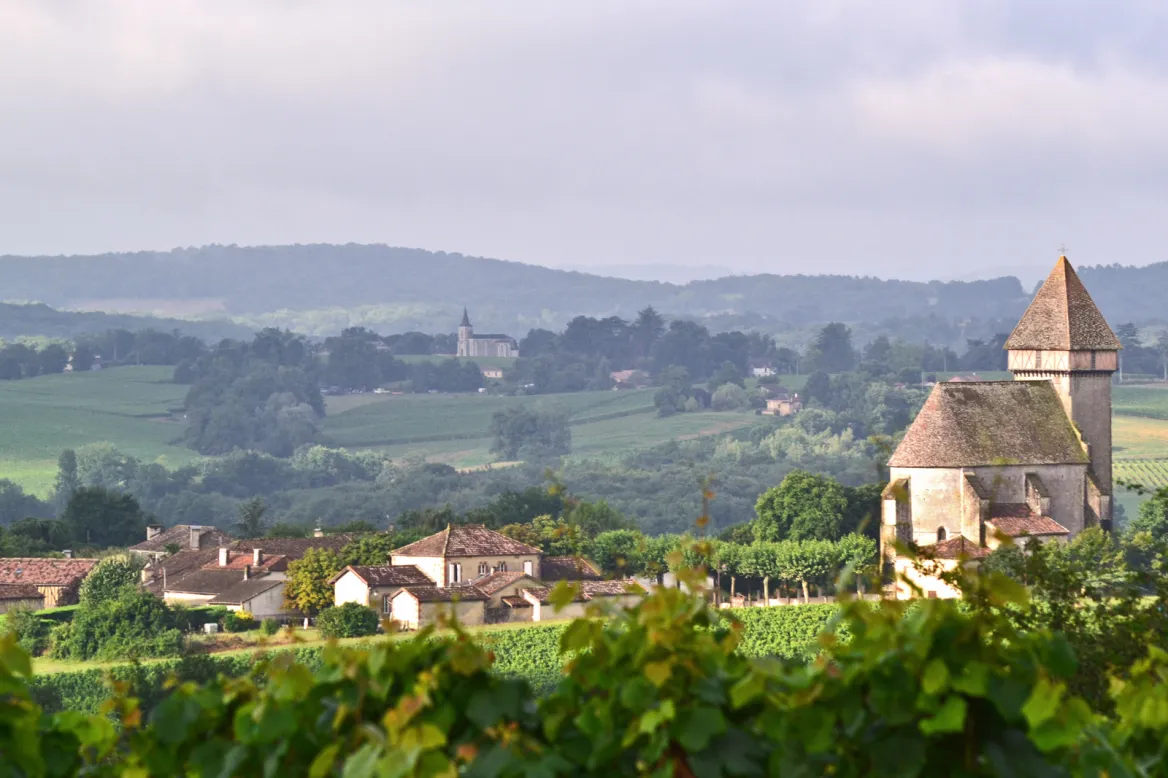 Saint-Mont vineyards © J Jourdon