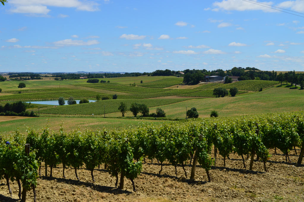 armagnac