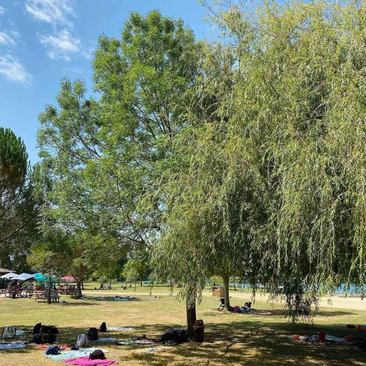 picnic spot in the Gers