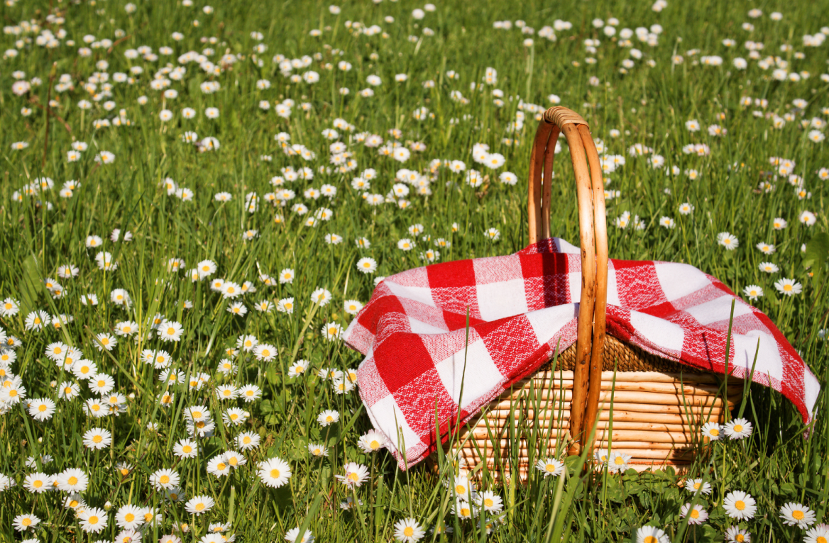 picnic spot in the Gers