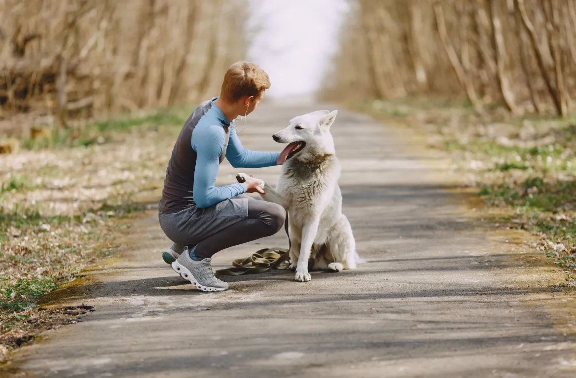 balade avec son chien dans le gers