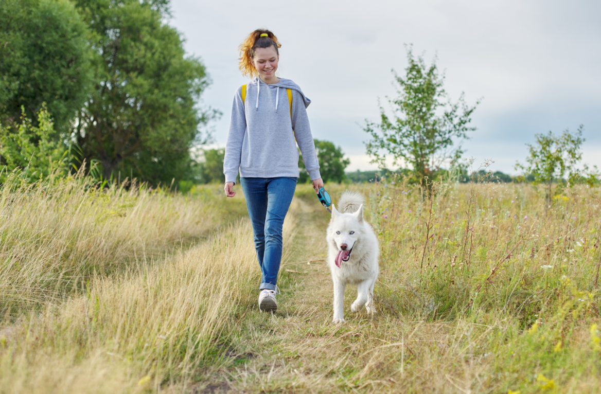 balade avec son chien dans le gers