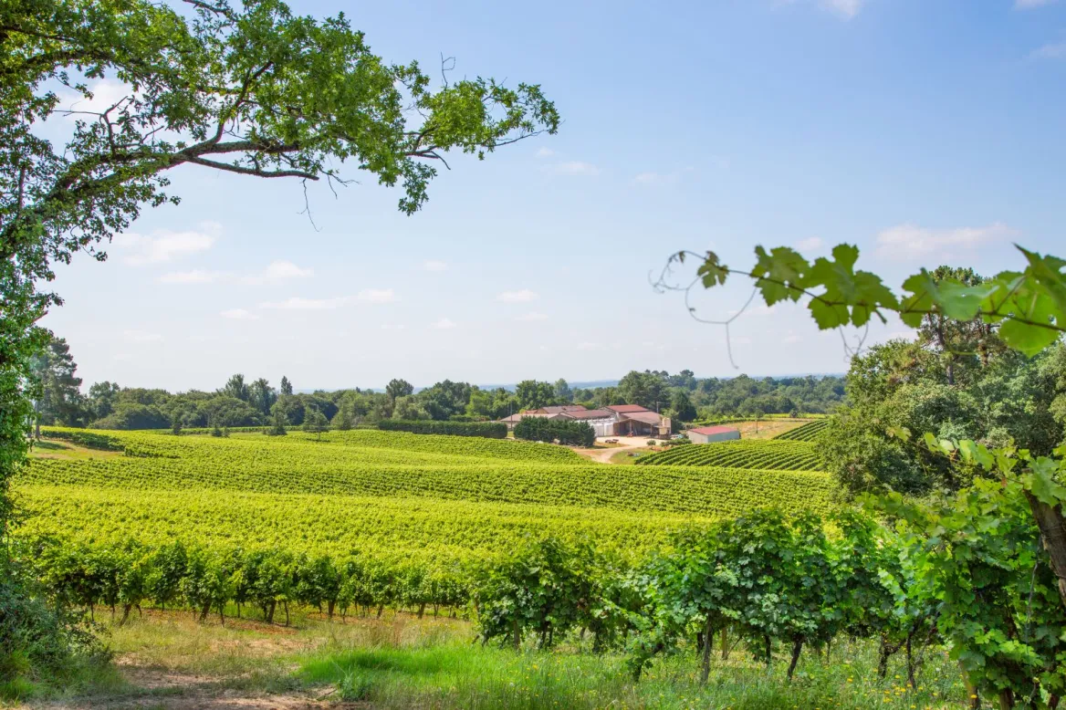 Joÿ Estate
