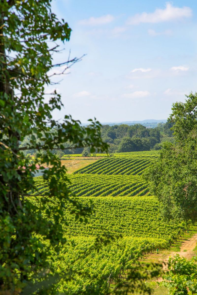 Joÿ Estate