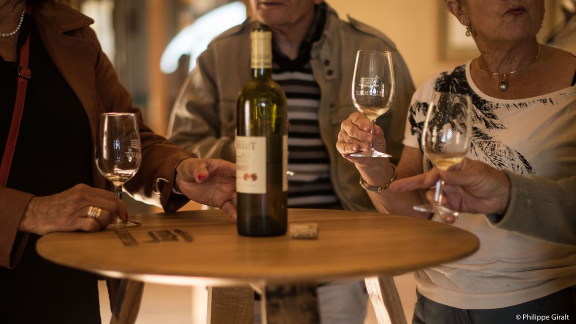 Wine tasting in fources