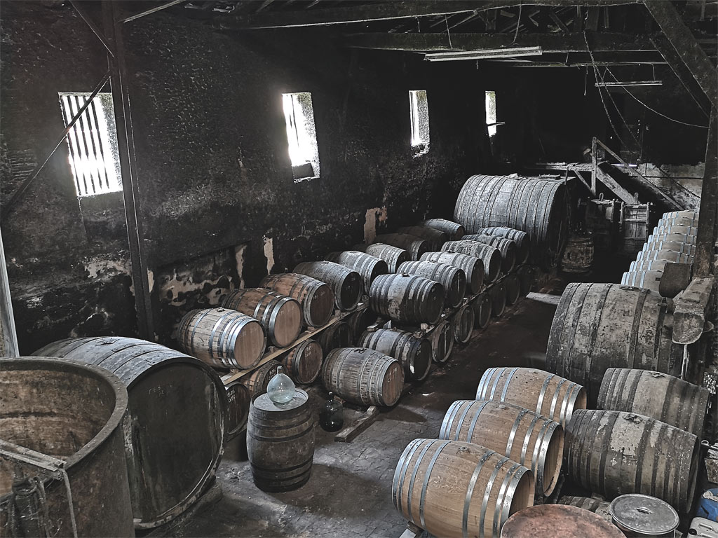 semi underground cellar