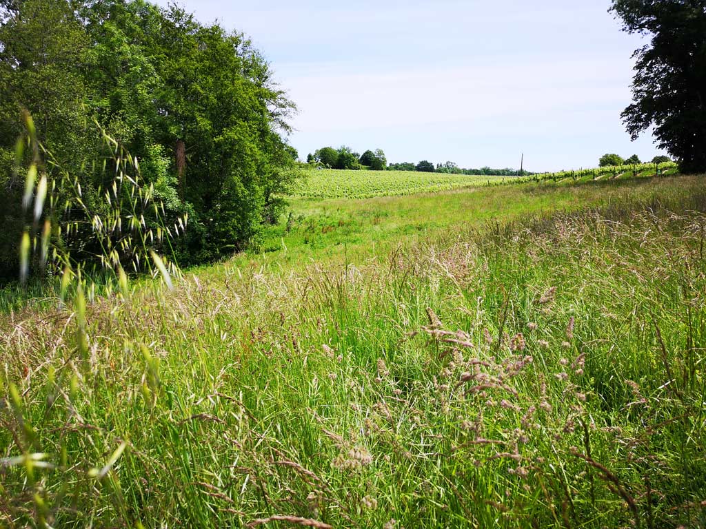 gers countryside