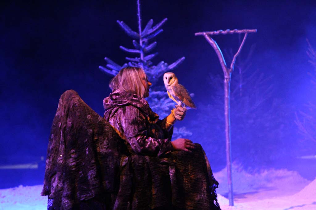 The Bird of Prey Park