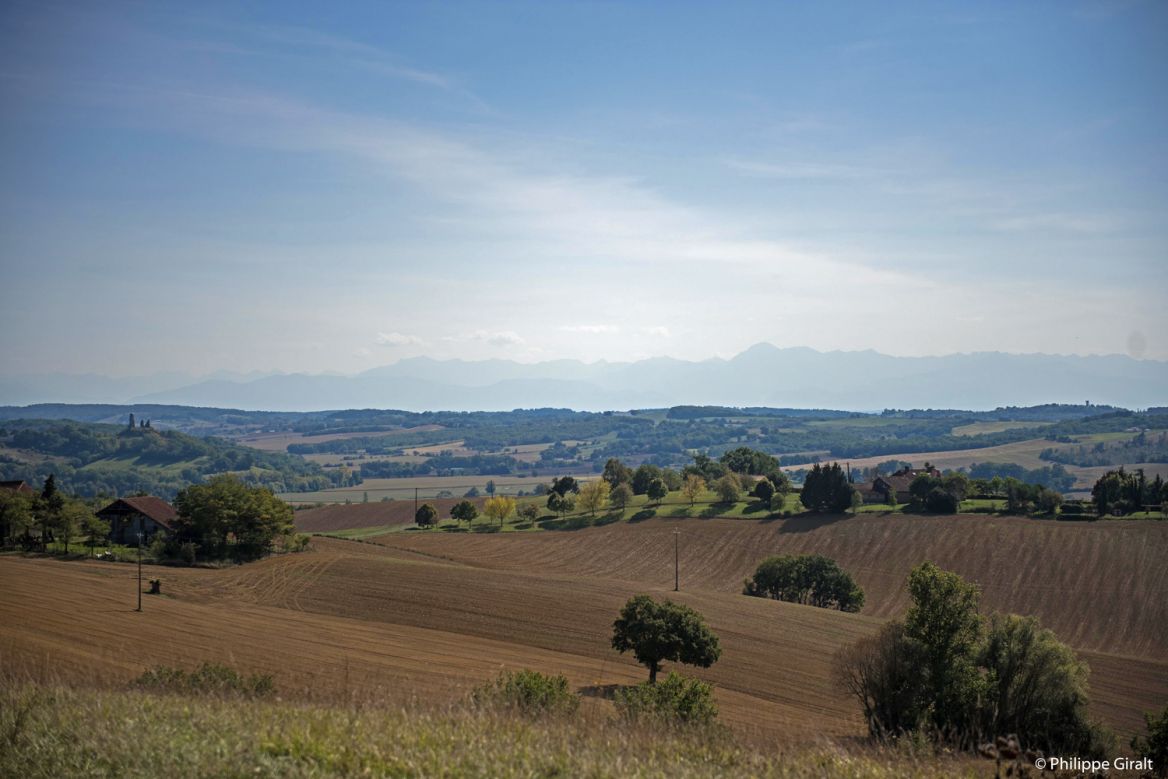 Montesquiou