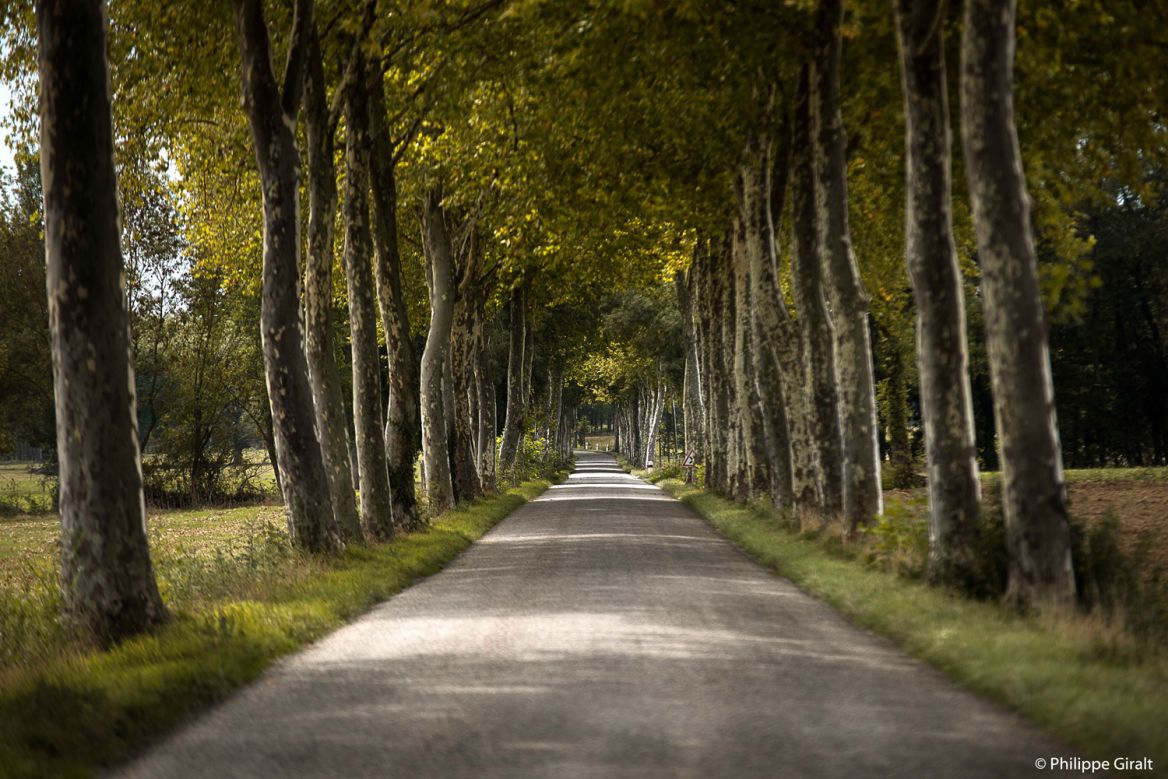The roads of Gers