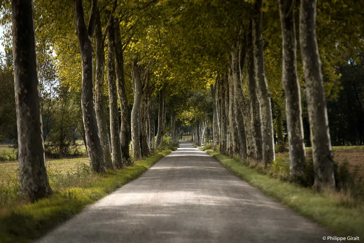 Les routes du gers