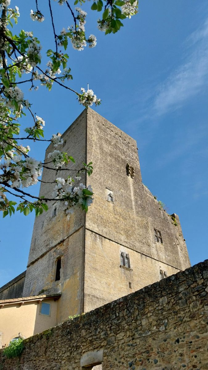 Tour de Termes-d’Armagnac - Photo © Florent Pécassou - CC BY-SA 3.0