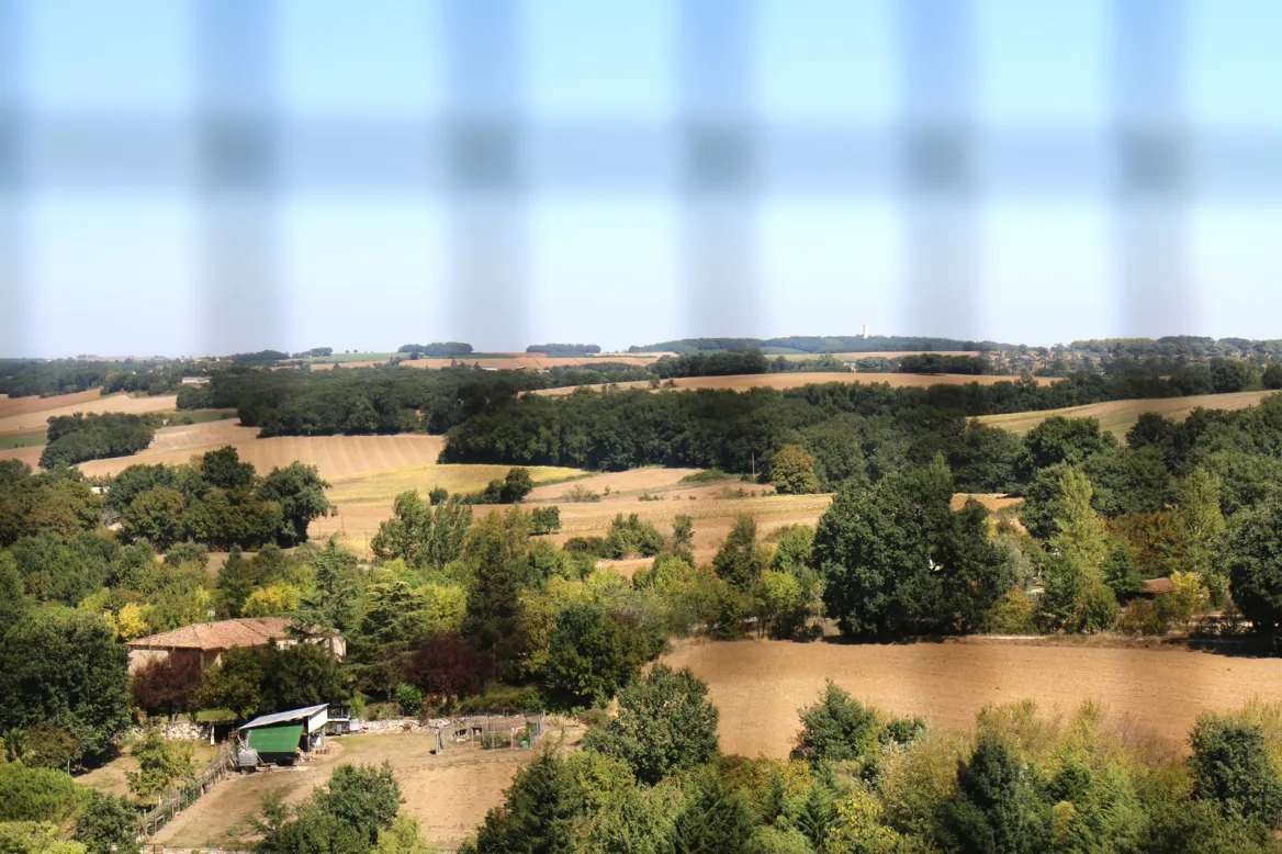 View from the collegiate church