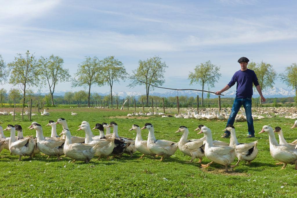 La Ferme de la Patte d’Oie