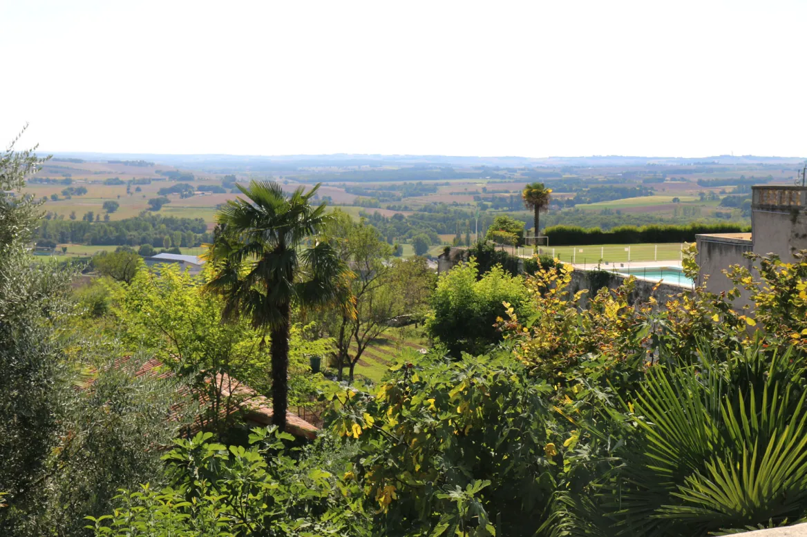 Belvedere