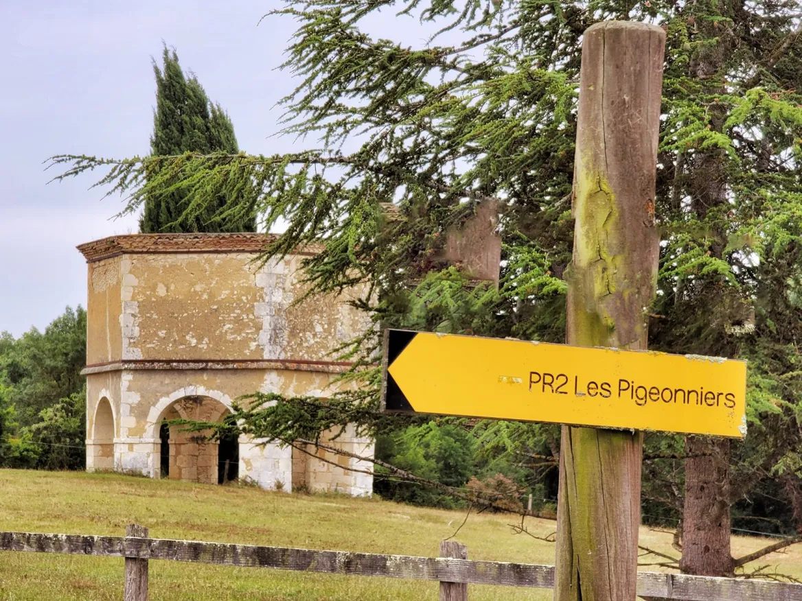Pigeon path