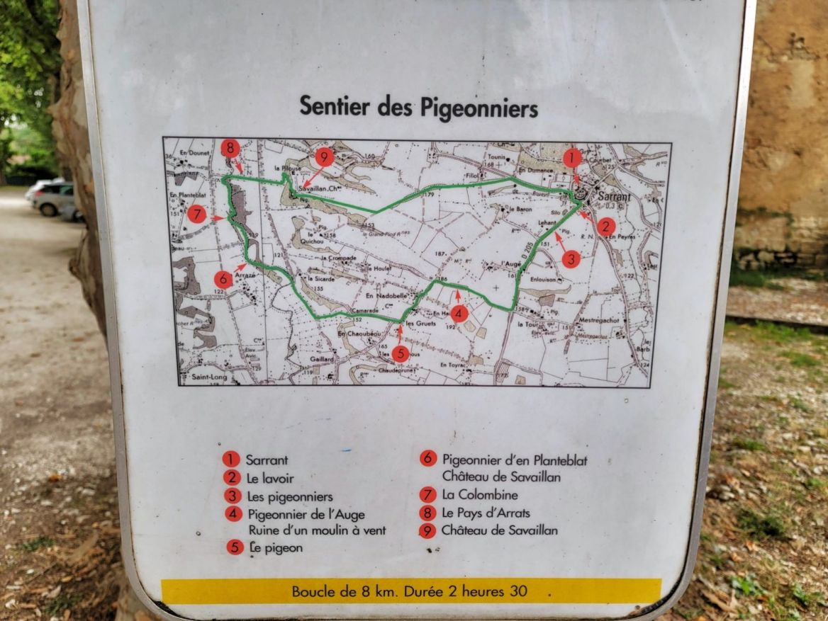 Pigeon path