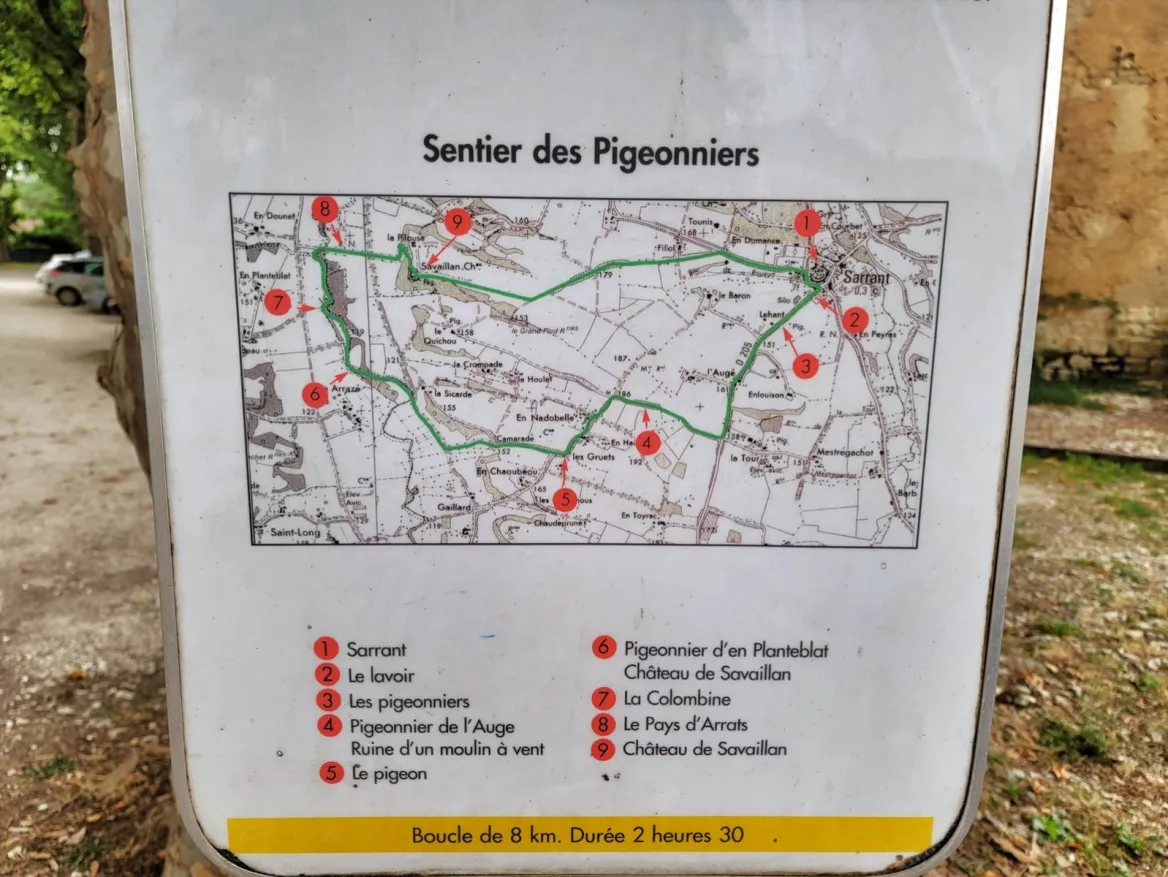 Pigeon path