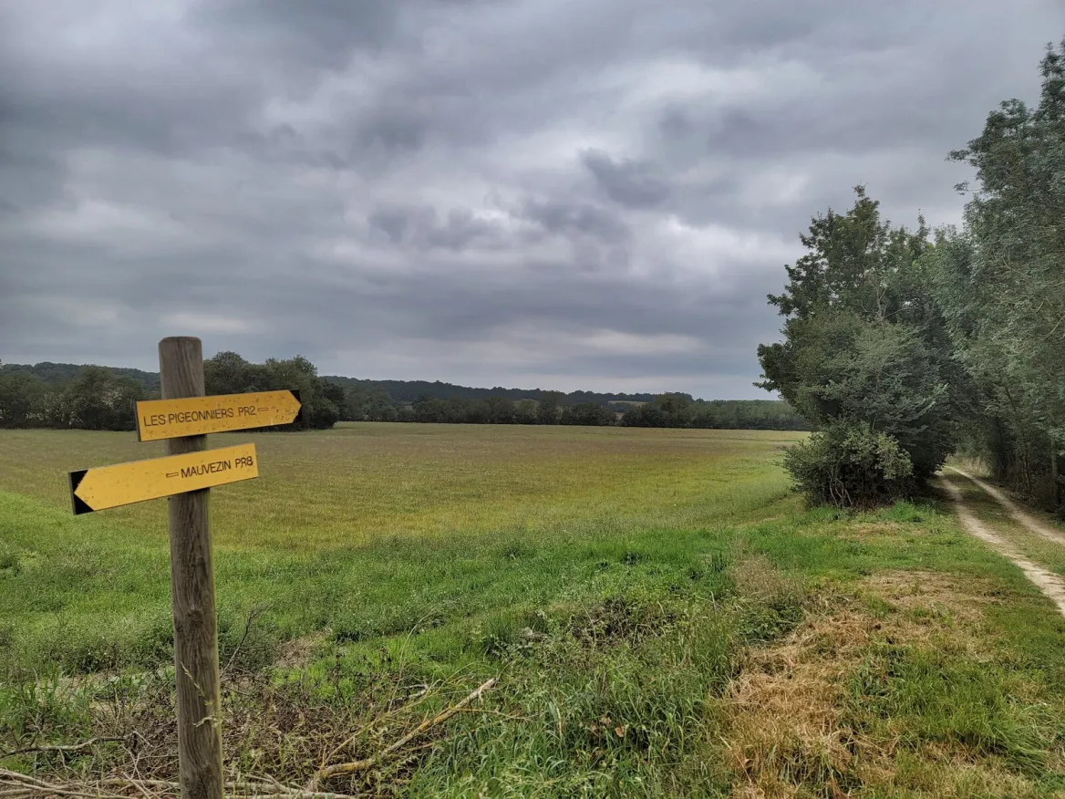 Pigeon path