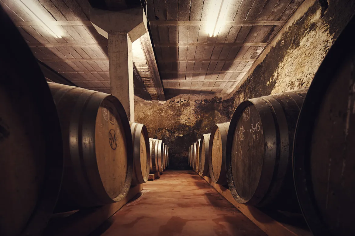 Domaine Arton