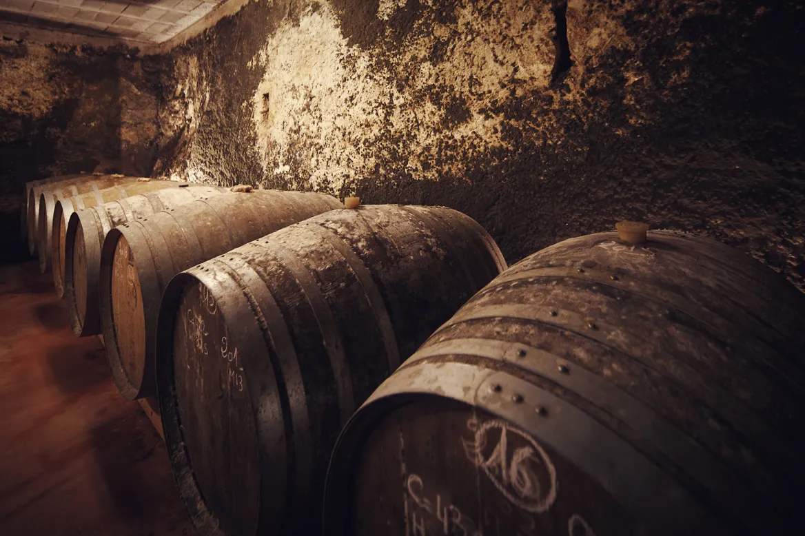 Domaine Arton