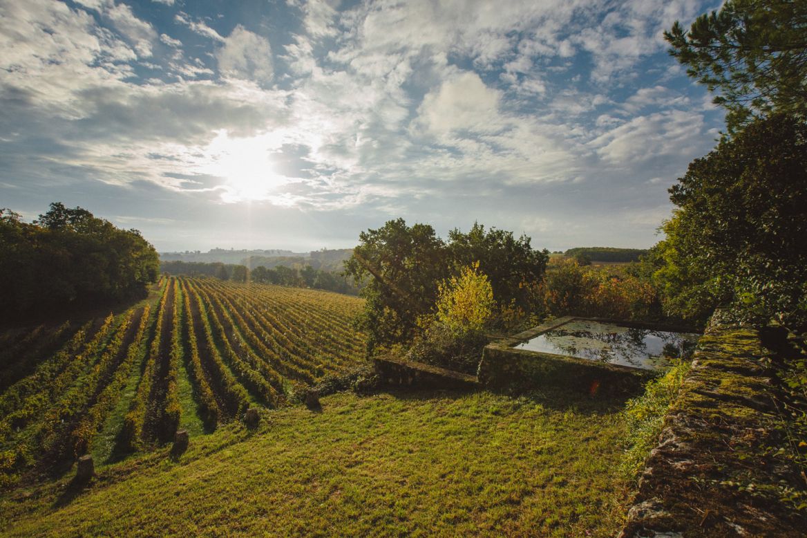 Domaine Arton