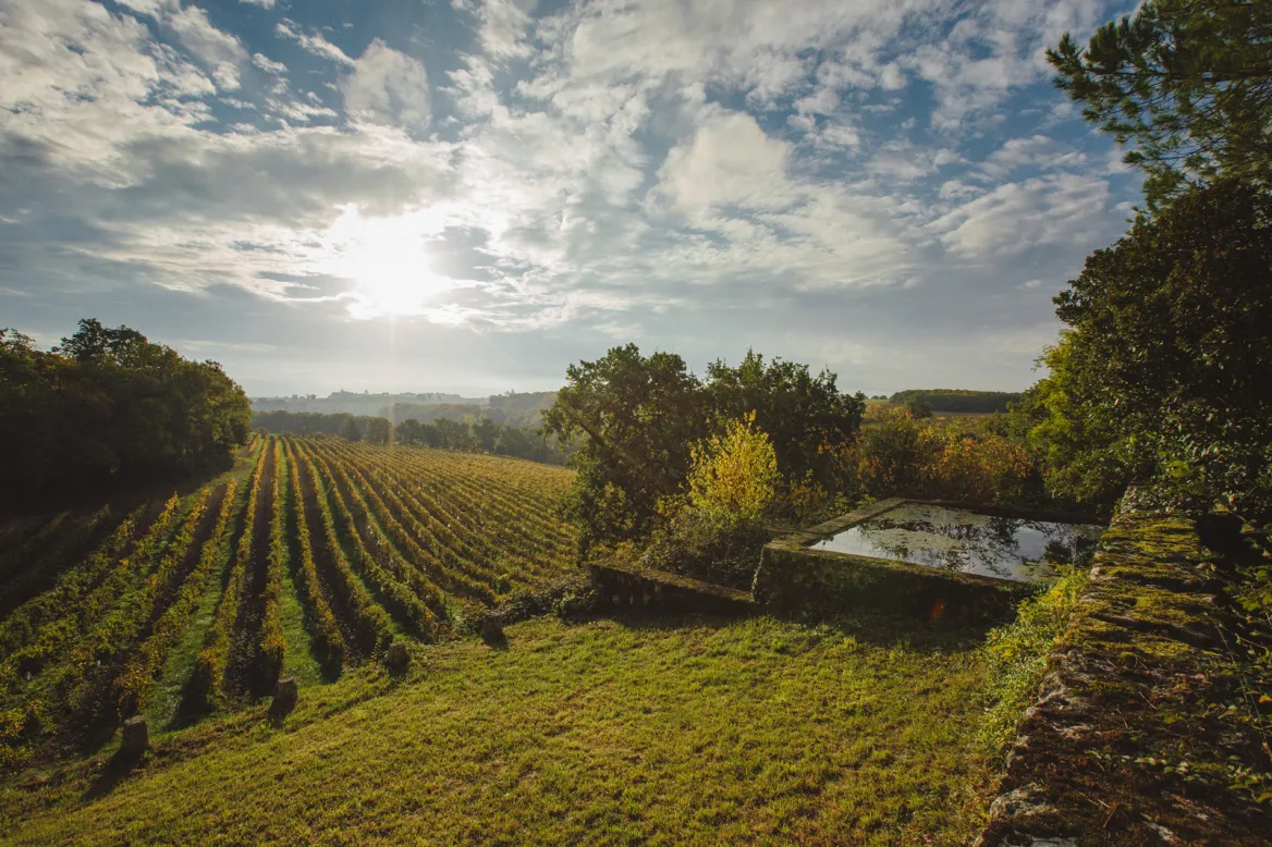 Domaine Arton