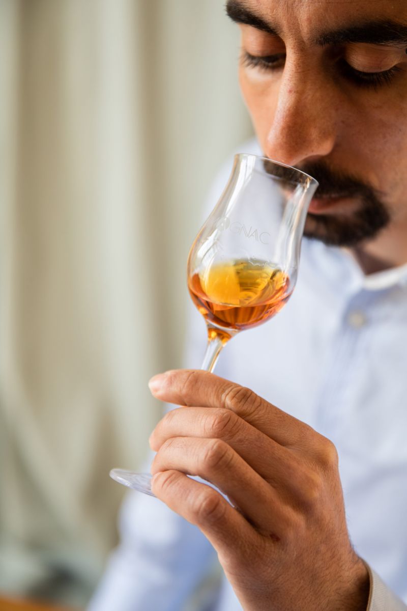 Domaine Arton