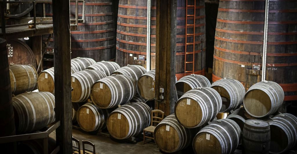 Maison Dupeyron - Voyage au Cœur de l’Armagnac Gascon à CONDOM