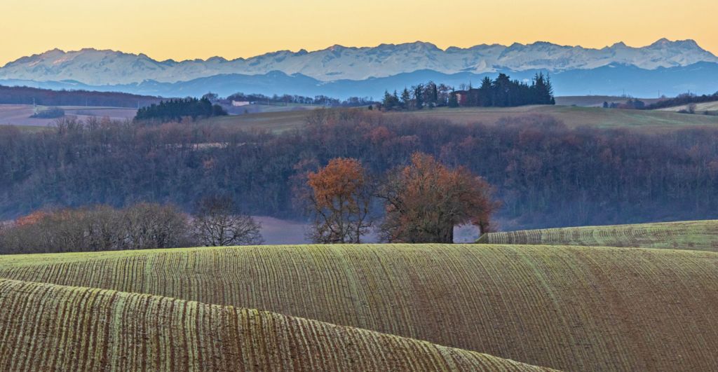 Week-end Hivernal dans le Gers - L’art de la Découverte Gasconne