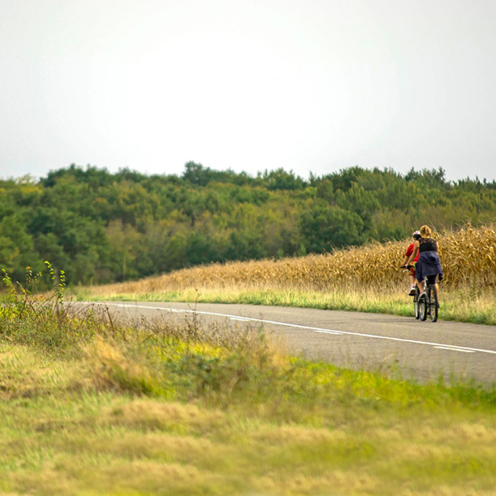 Les plus belles balades à vélo dans le Gers - entre collines verdoyantes et châteaux
