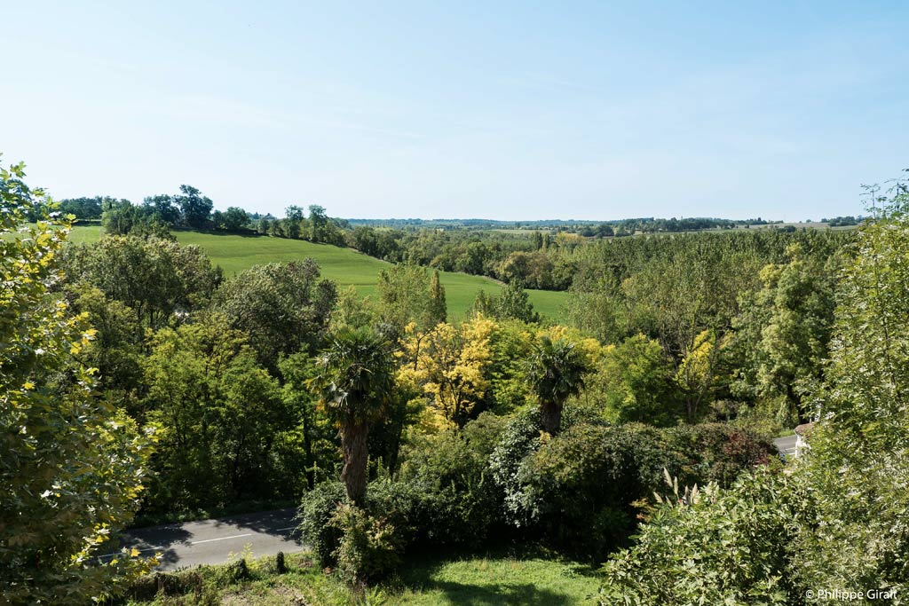 The lush vegetation in Montréal-du-Gers