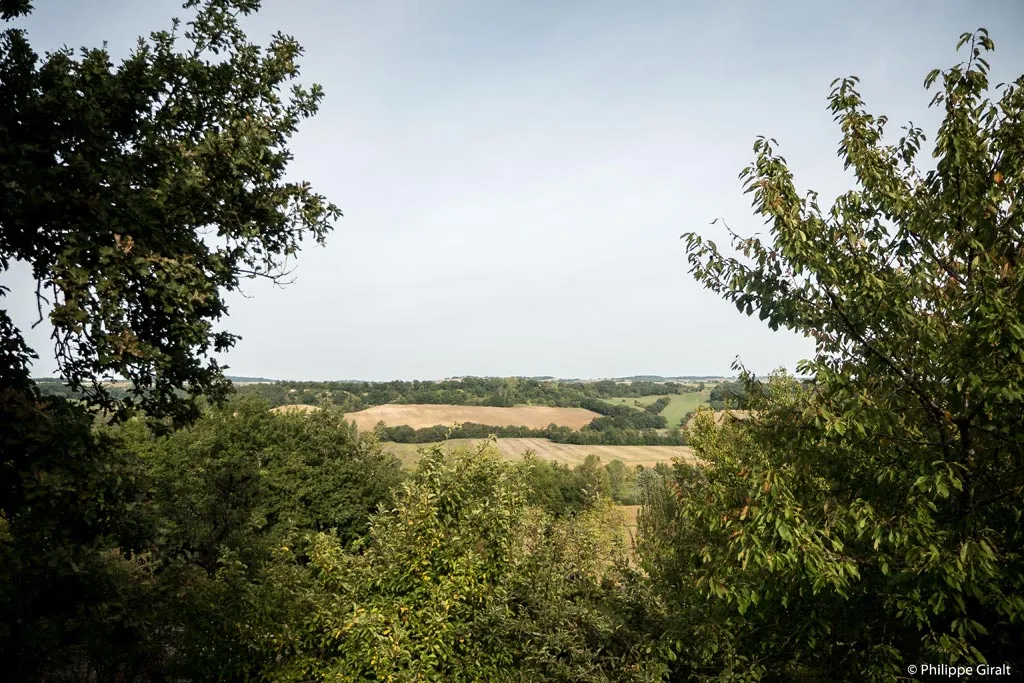 The view from Saint-Clar