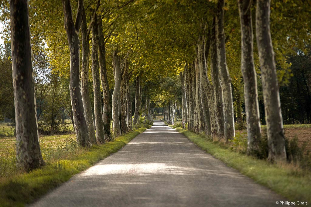 Le Gers, un département vraiment 100% nature et patrimoine !